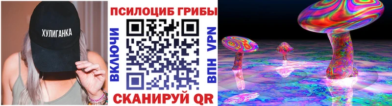 Галлюциногенные грибы Psilocybe  дарк нет клад  Сураж 